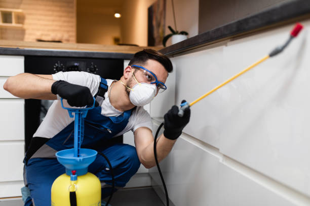 Best Pest Prevention Services  in Naco, AZ