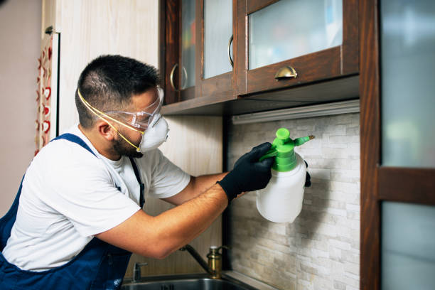 Naco, AZ Pest Control Company
