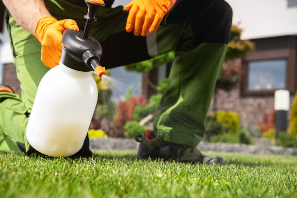 Best Pest Prevention Services  in Naco, AZ