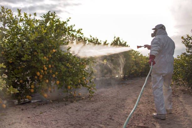Best Local Pest Control Services  in Naco, AZ