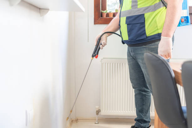 Best Emergency Pest Control  in Naco, AZ