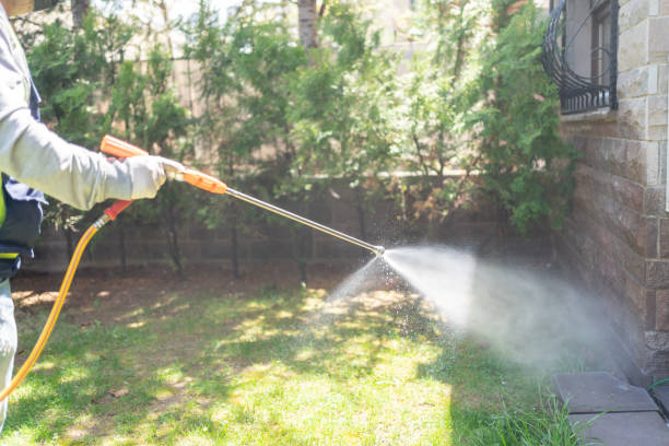 Best Affordable Pest Control Services  in Naco, AZ