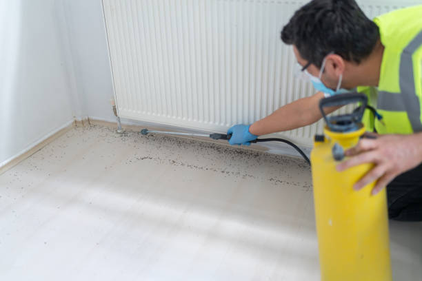 Best Flea Control Services  in Naco, AZ