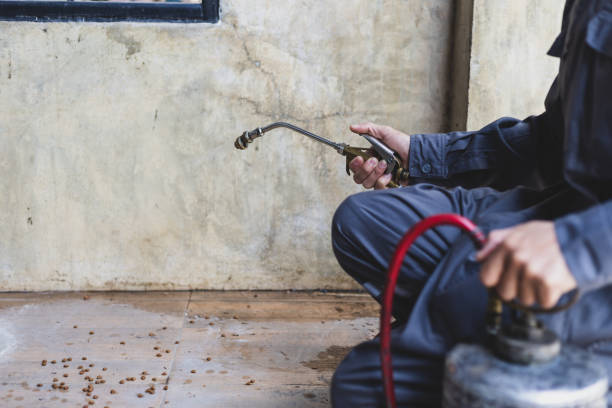 Best Pest Control Treatment  in Naco, AZ