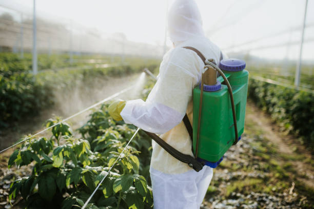 Best Commercial Pest Control Services  in Naco, AZ